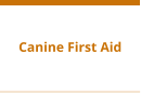 Canine First Aid